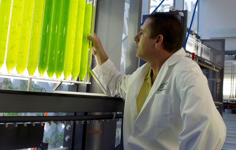 Arizona is supportive of research, especially when it includes our universities, and offers aggressive refundable and nonrefundable corporate income tax credits.