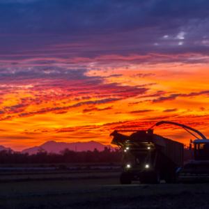 Harvest