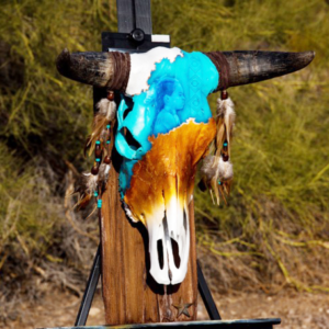 Great Plain Cow Skull