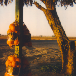 Orange stand - spectra polaroid