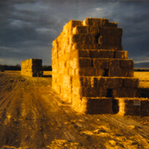 Haybales spectra polaroid