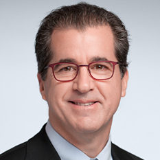 Guillermo Novo, Board of Directors