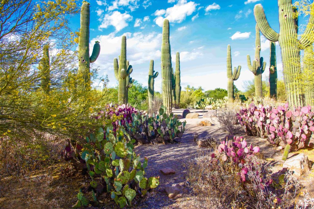 Arizona has 22 national parks and 10 national natural landmarks - Quality of life in Phoenix