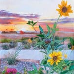close up of flowers with sunset in background in Gilbert, AZ