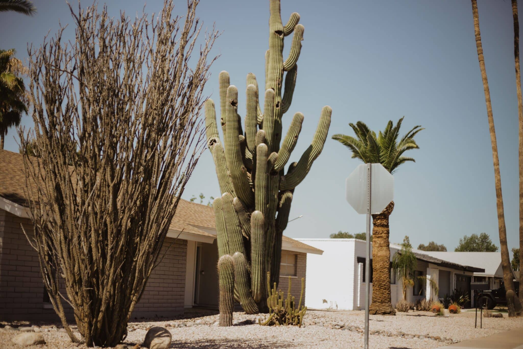 Residential house surrounded by desert landscaping